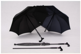 combinatie paraplu wandelstok