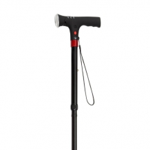 walking stick with light and alarm