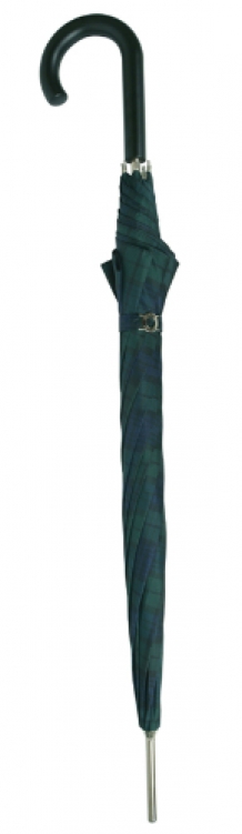 stick umbrella steel Caro green-blue 14/  closed