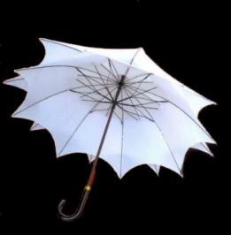 white stick umbrella damazoni