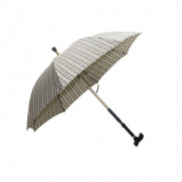 umbrella + walking stick