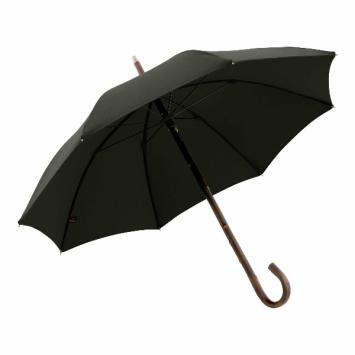 stick umbrella green chestnut construction, open