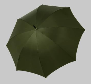 luxury_stick_ umbrella_ bugatti dark green_ open